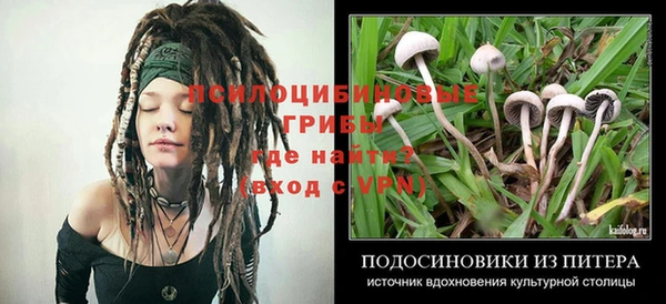 героин Абаза